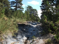 rrente Quarantore-20110911 089